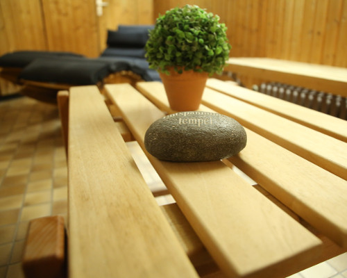 Ein runder Stein mit der Aufschrift "Tempelhof" liegt auf einer Holzbank neben einer kleinen Topfpflanze, im Hintergrund ist ein Sofa zu sehen.